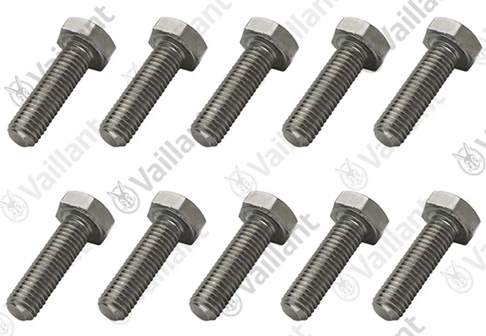 Zehn metallische Schrauben der Marke Vaillant mit Sechskantkopf und Gewinde, geordnet in zwei Reihen auf hellem Hintergrund.